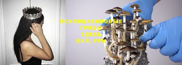 mdpv Осташков